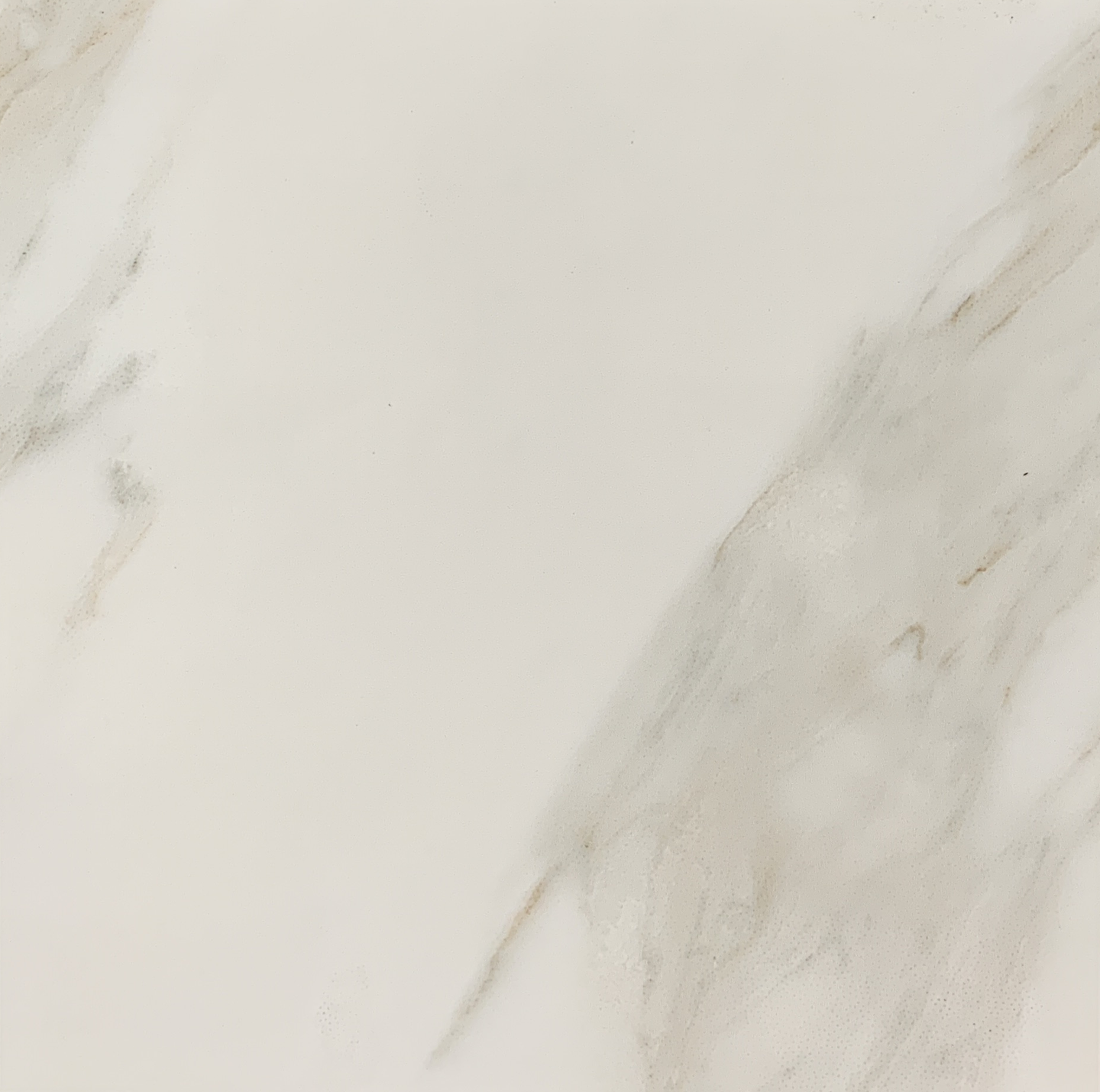 LUXO STATUARIO | Luxo Statuario Cream Rectified Ceramic. Tile Samples Sydney