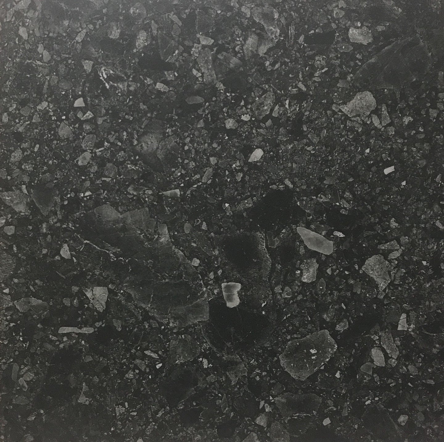 TERRAZZO CHARCOAL | Charcoal Rectified Glazed Porcelain. Tile Samples Sydney